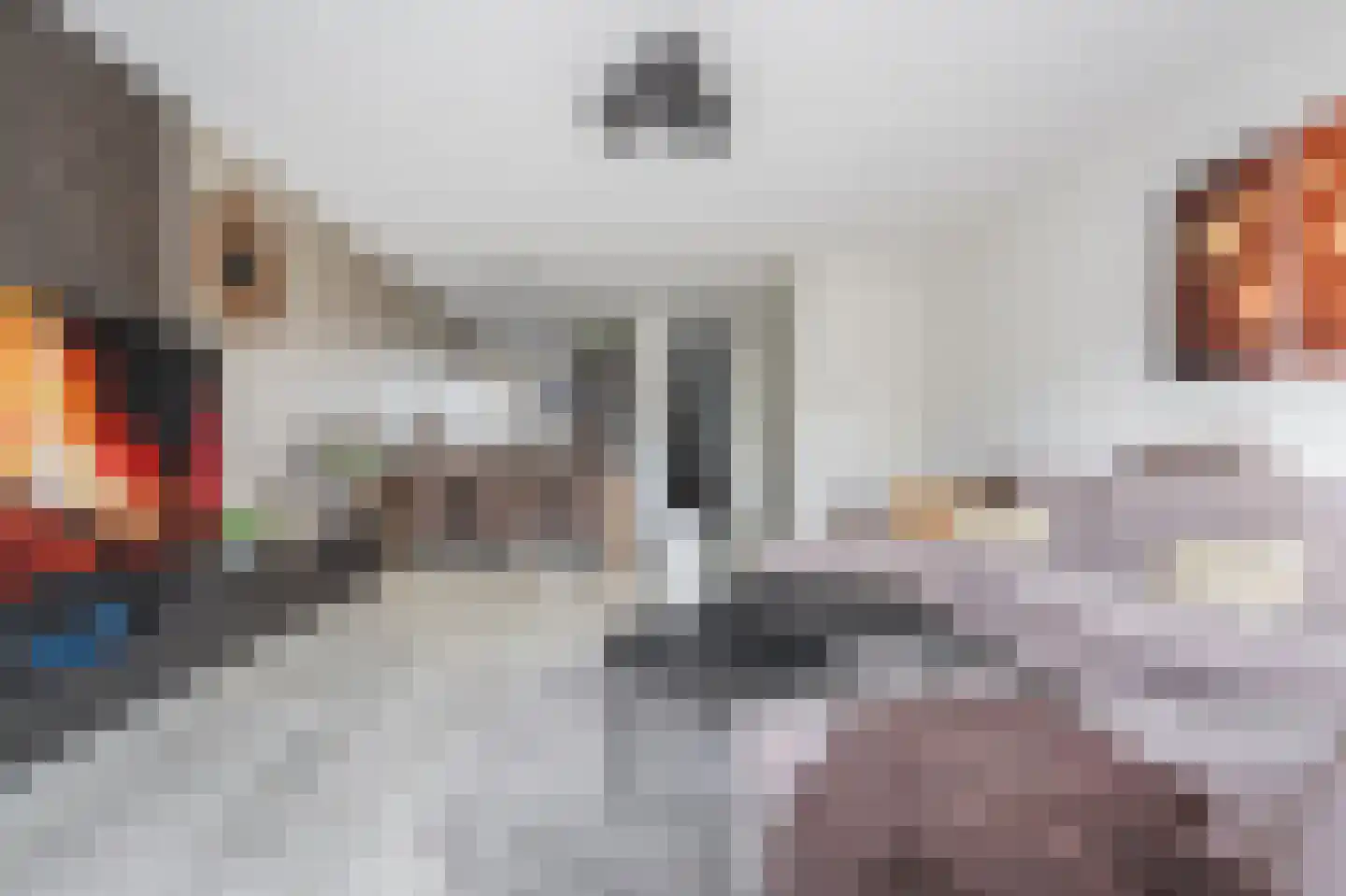 Meikersstraat 30 Kerkdriel thumbnail 7