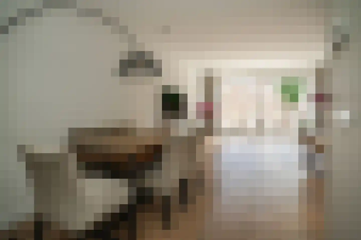 Meikersstraat 40 Kerkdriel thumbnail 12