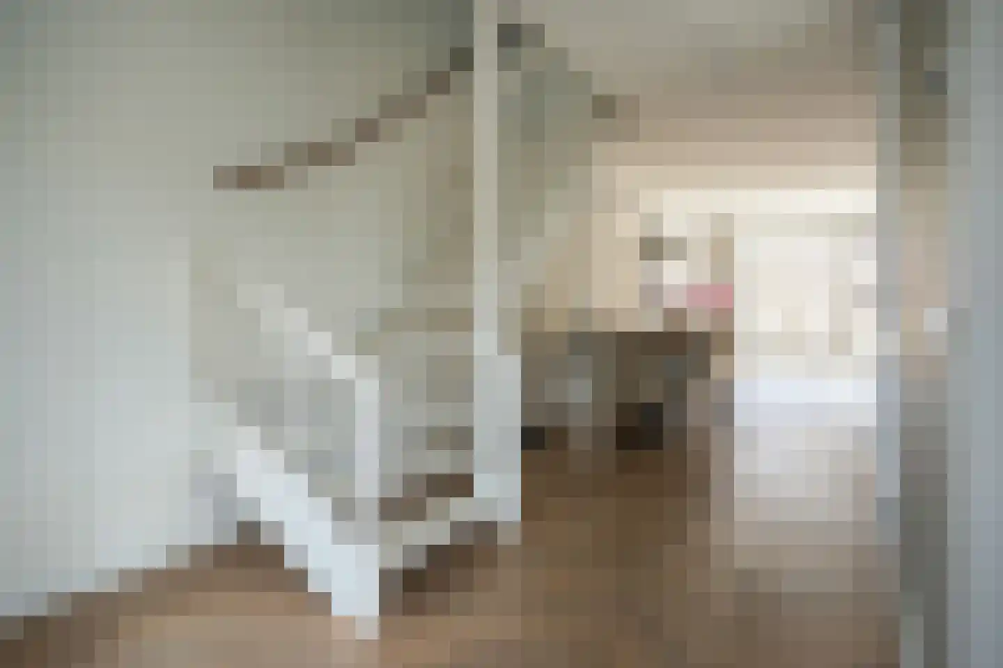 Meikersstraat 40 Kerkdriel thumbnail 20