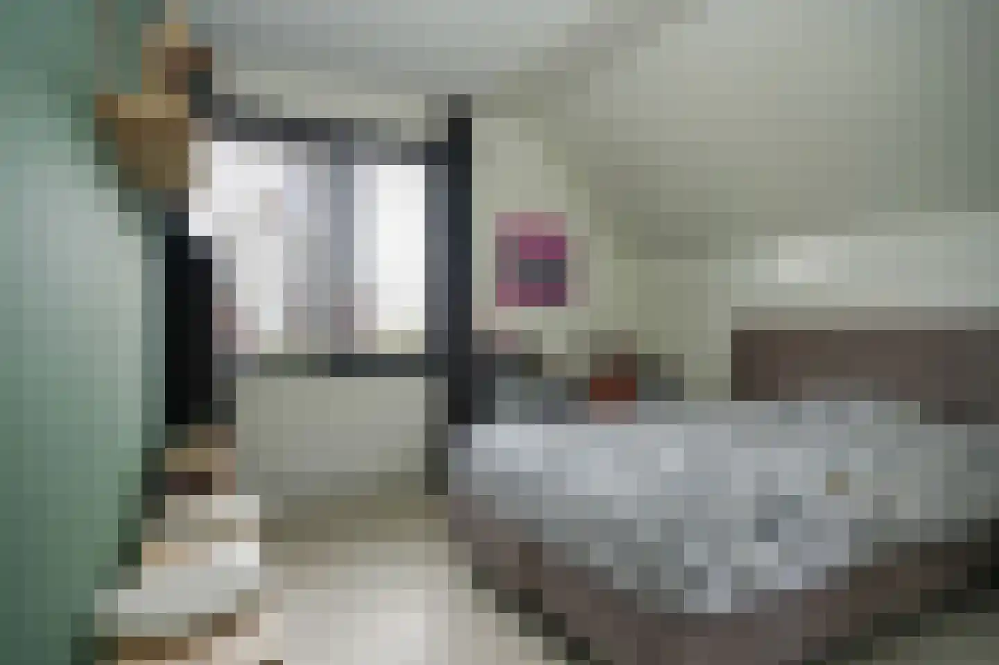 Meikersstraat 40 Kerkdriel thumbnail 24