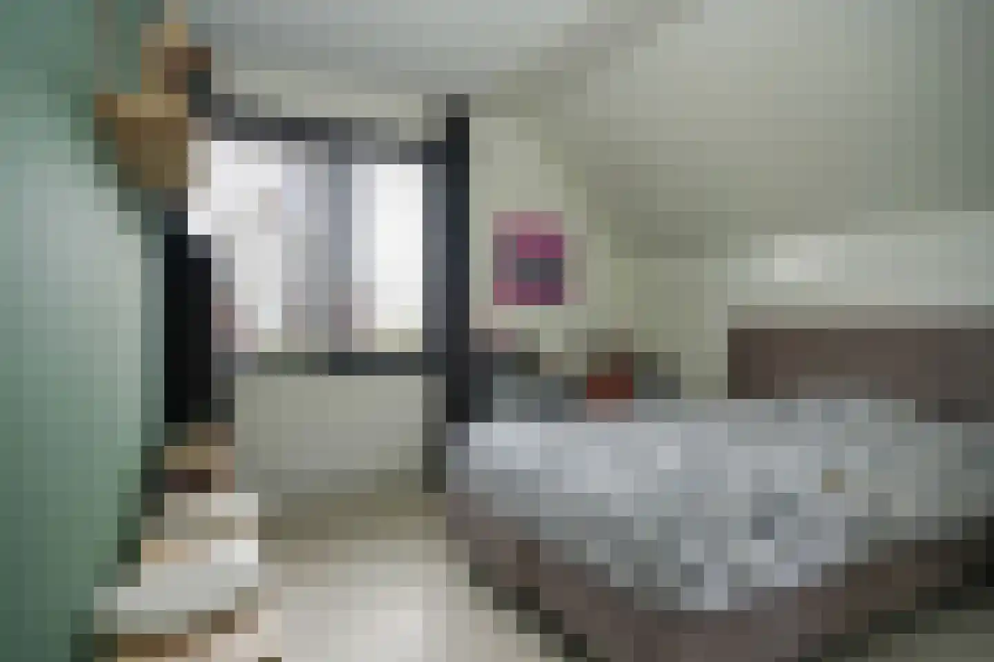 Meikersstraat 40 Kerkdriel thumbnail 26