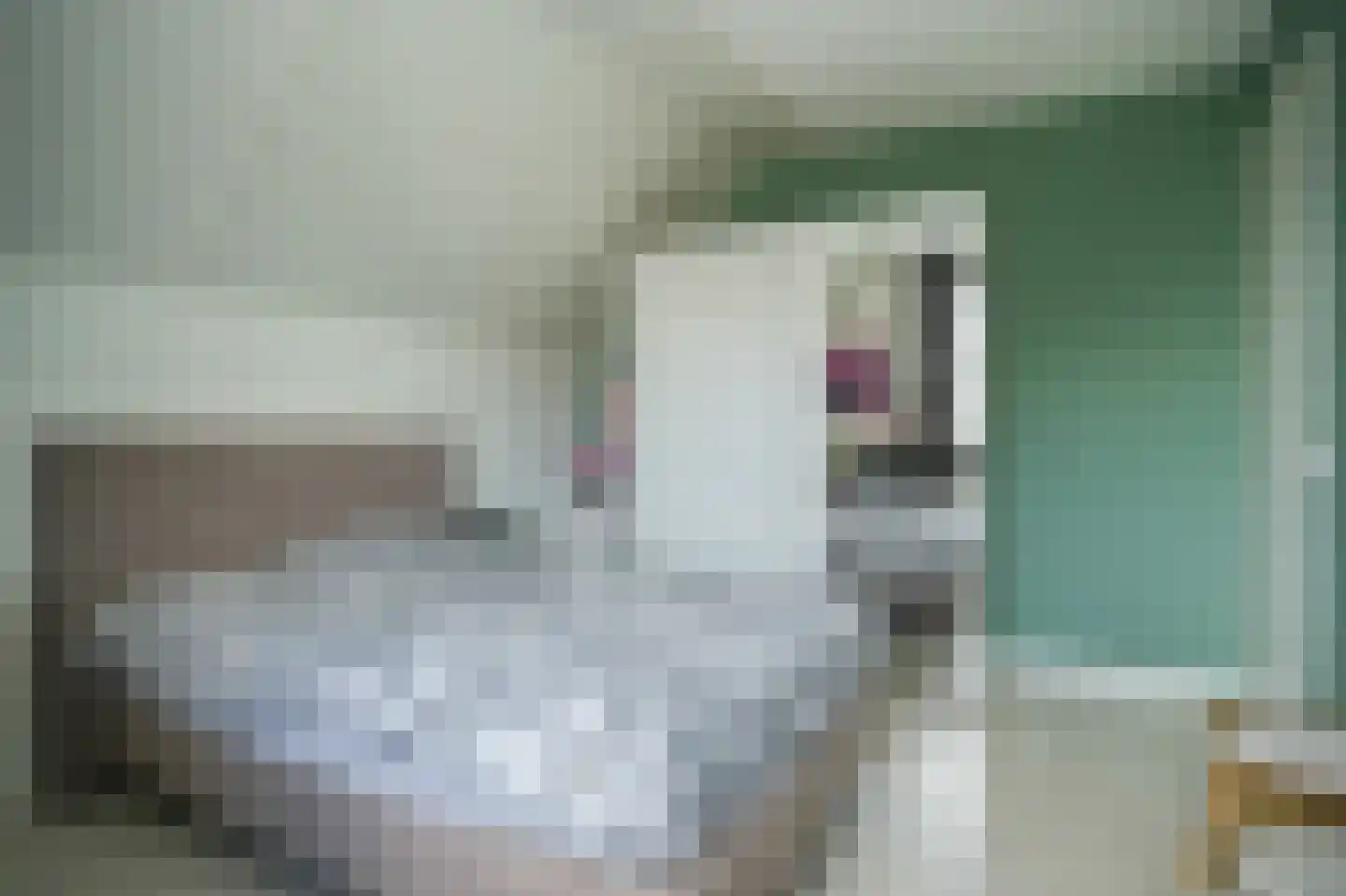 Meikersstraat 40 Kerkdriel thumbnail 27