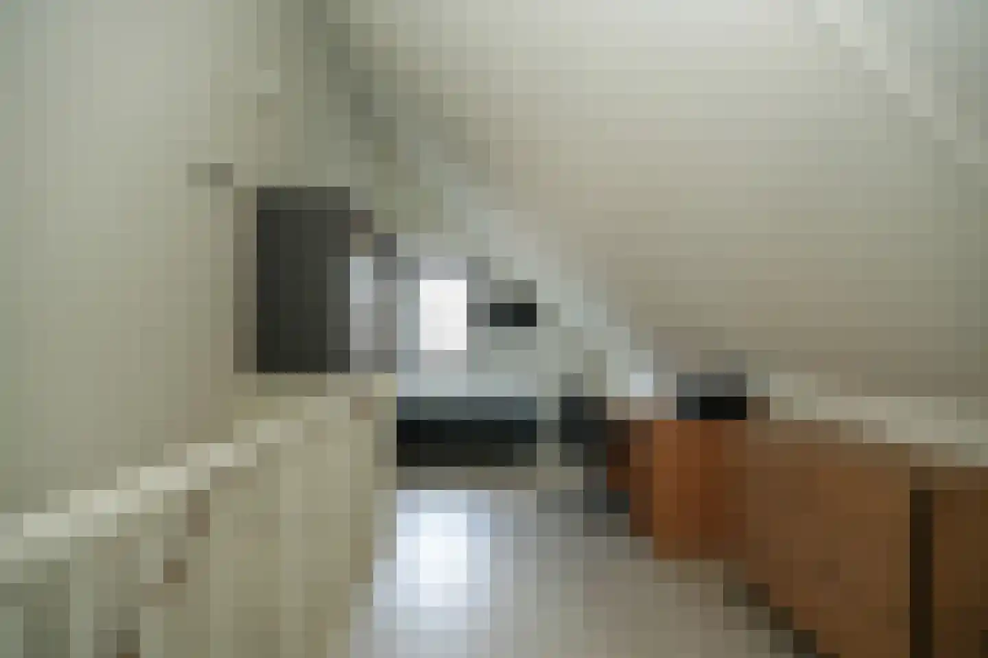 Meikersstraat 40 Kerkdriel thumbnail 34
