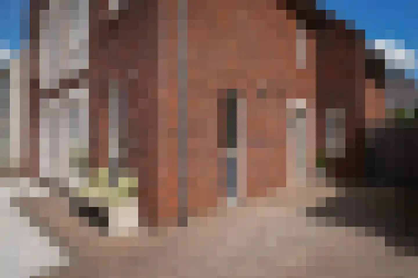 Meikersstraat 40 Kerkdriel thumbnail 46