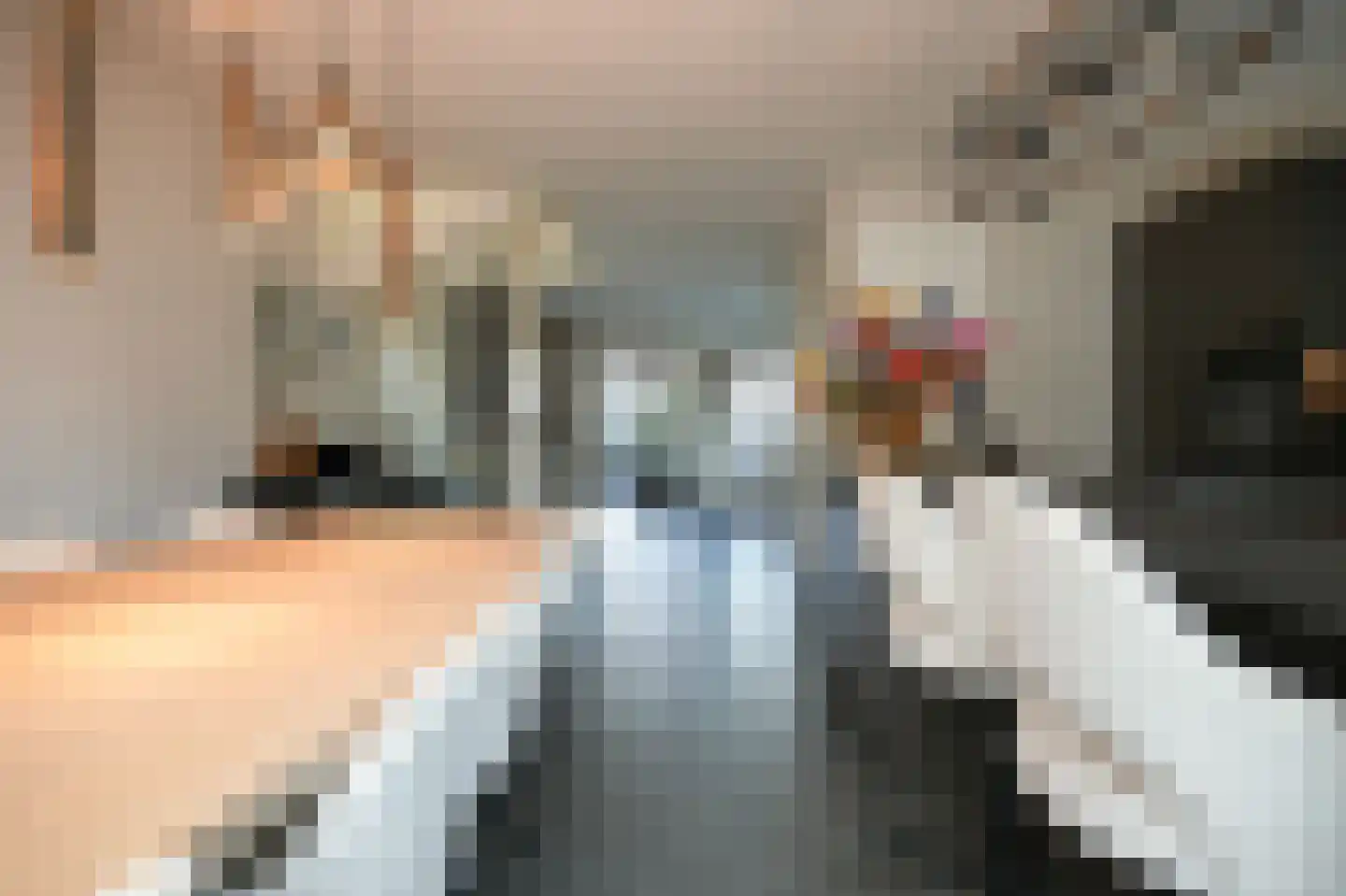 Meikersstraat 46 Kerkdriel thumbnail 16