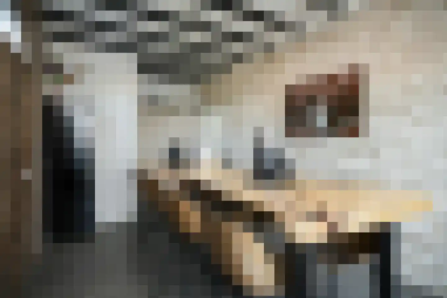 Meikersstraat 46 Kerkdriel thumbnail 21