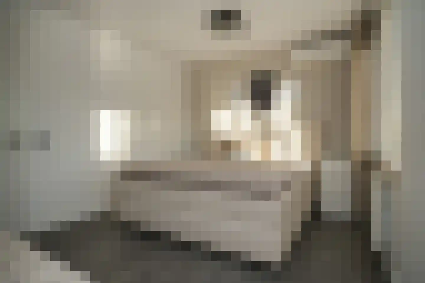 Meikersstraat 46 Kerkdriel thumbnail 25
