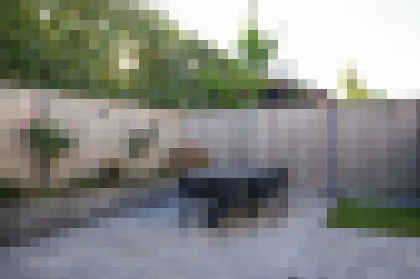 Meikersstraat 46 Kerkdriel thumbnail 44