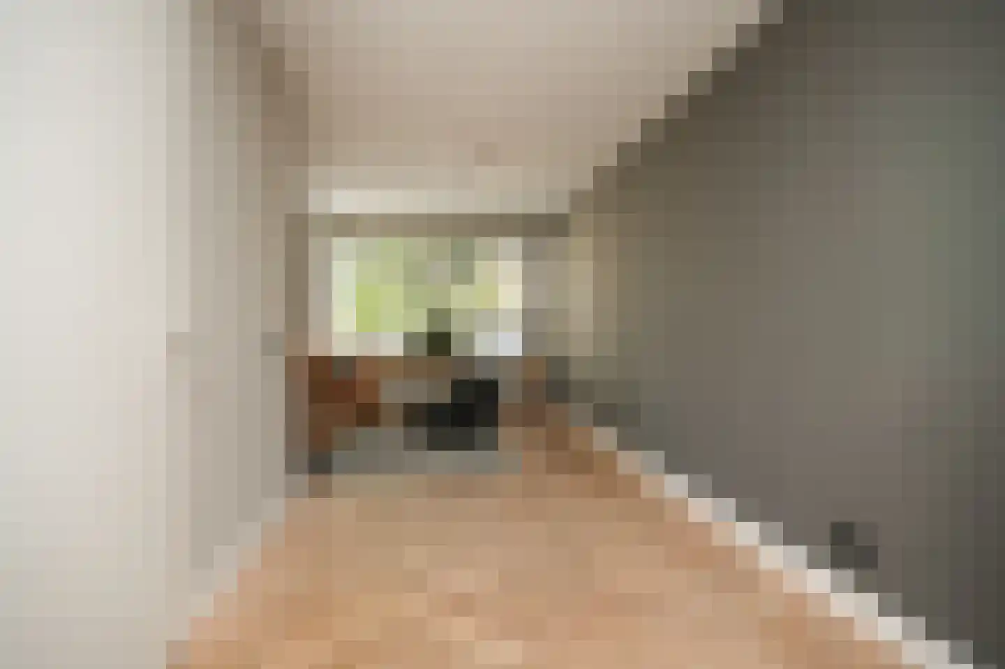 Meikersstraat 7 Kerkdriel thumbnail 19