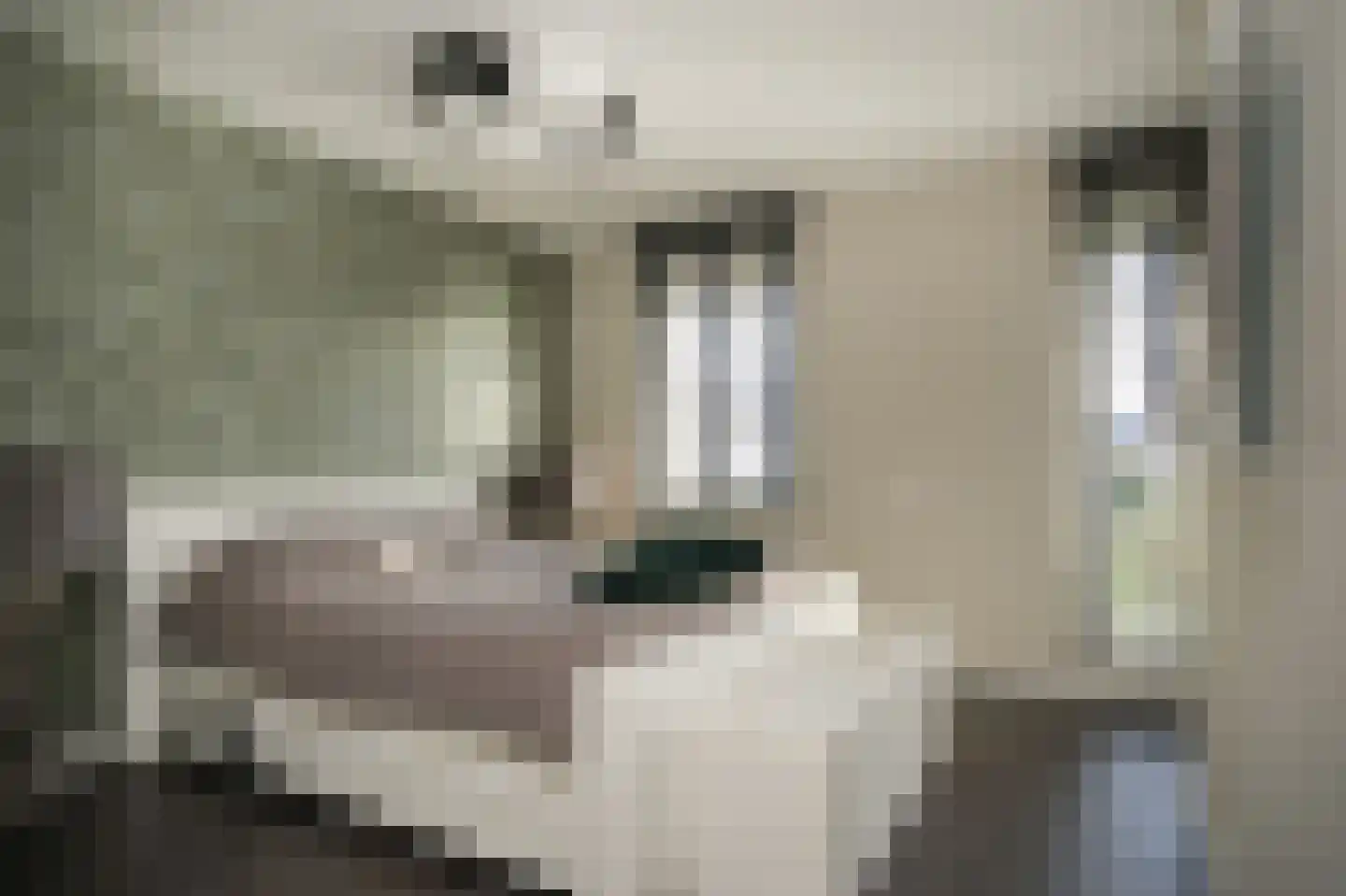 Meikersstraat 7 Kerkdriel thumbnail 22