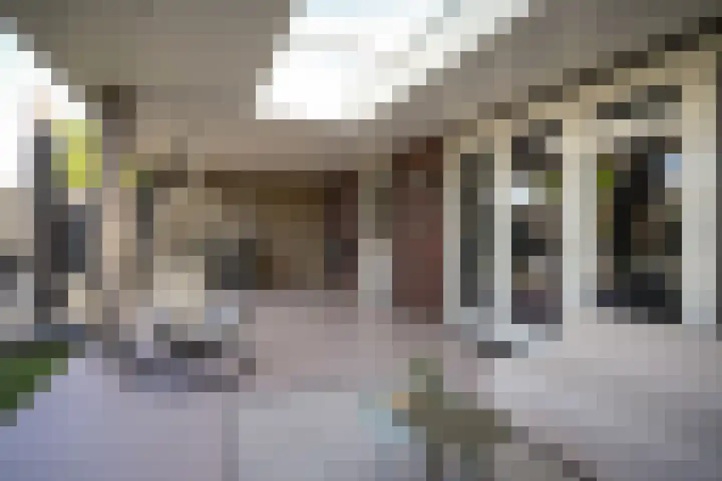 Meikersstraat 7 Kerkdriel thumbnail 53