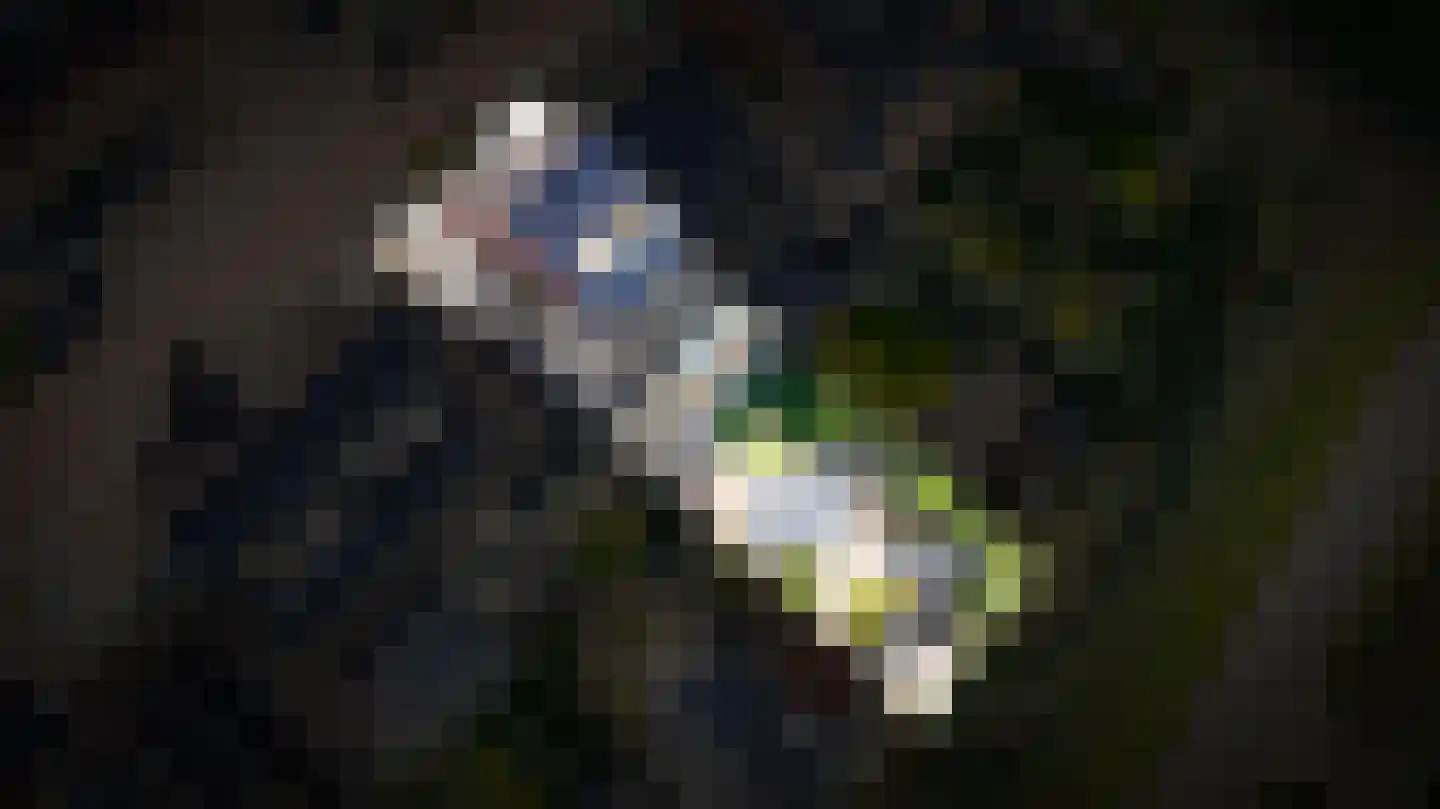 Meikersstraat 7 Kerkdriel thumbnail 60