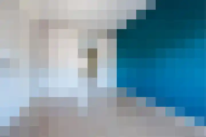 Meikever 30 Son en Breugel thumbnail 12