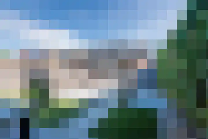 Meikever 30 Son en Breugel thumbnail 20