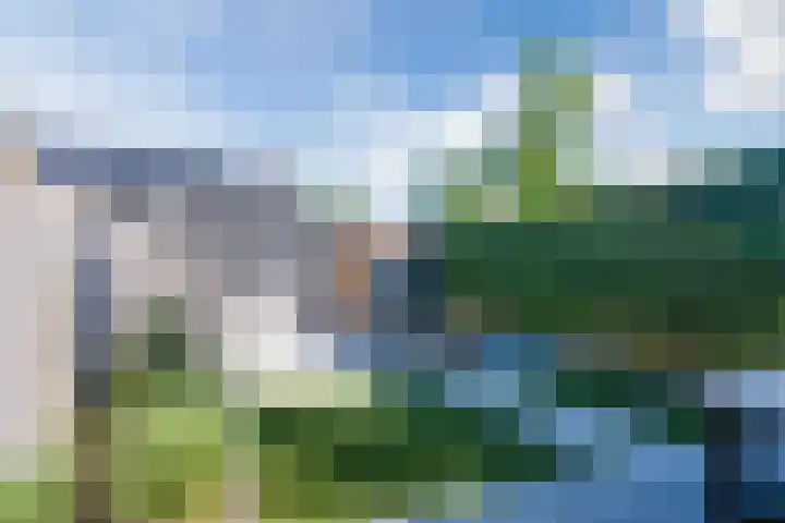 Meikever 30 Son en Breugel thumbnail 21