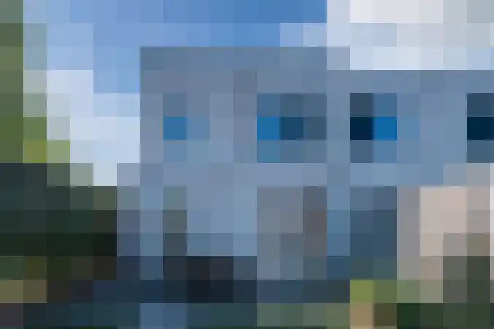 Meikever 30 Son en Breugel thumbnail 23