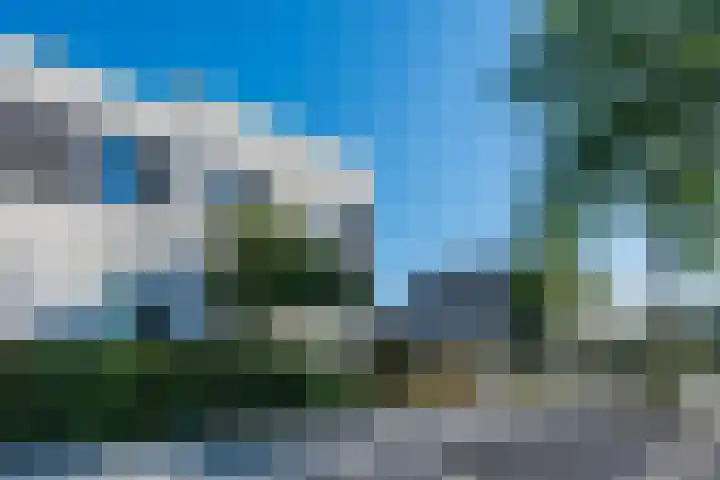 Meikever 30 Son en Breugel thumbnail 26