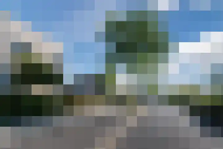 Meikever 30 Son en Breugel thumbnail 29