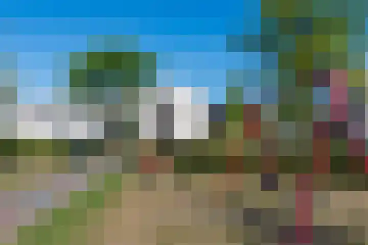 Meikever 30 Son en Breugel thumbnail 32