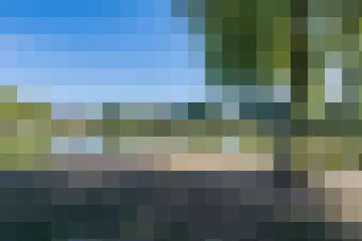 Meikever 30 Son en Breugel thumbnail 36