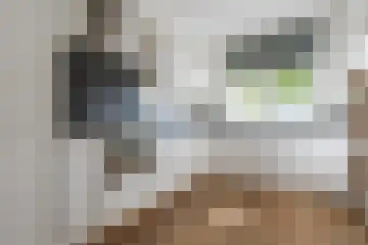 Meikever 30 Son en Breugel thumbnail 8