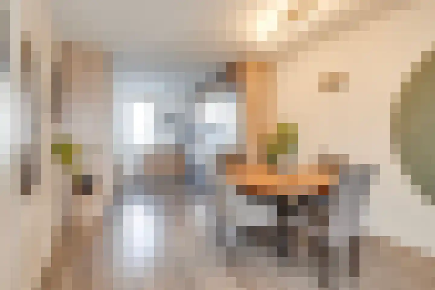 Meikever 4 Deventer thumbnail 5