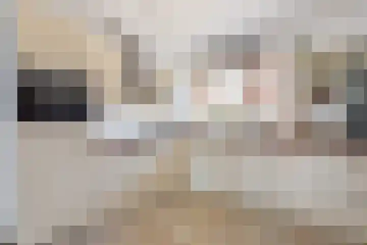 Meikever 7 Hengelo thumbnail 10