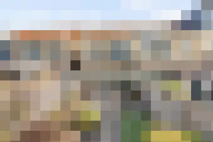 Meikever 7 Hengelo thumbnail 16