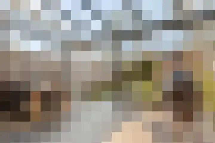 Meikever 7 Hengelo thumbnail 17