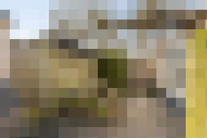 Meikever 7 Hengelo thumbnail 18