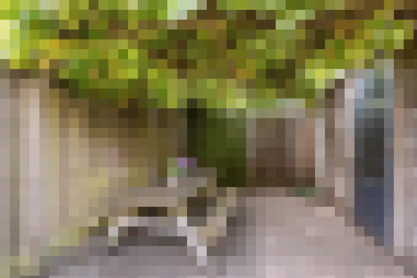 Meikever 7 Hengelo thumbnail 18