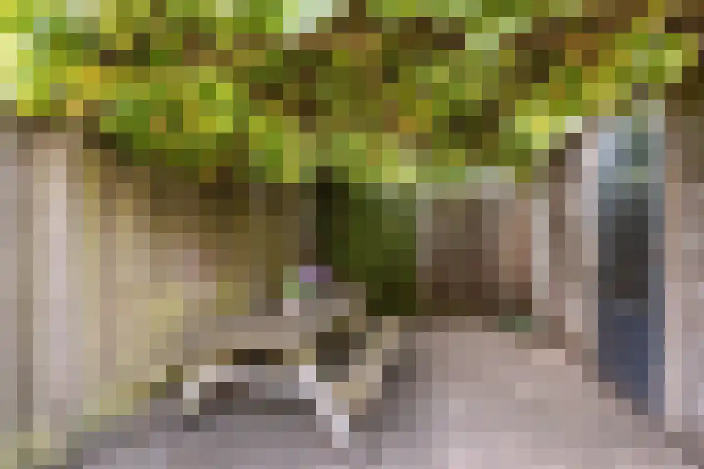 Meikever 7 Hengelo thumbnail 4