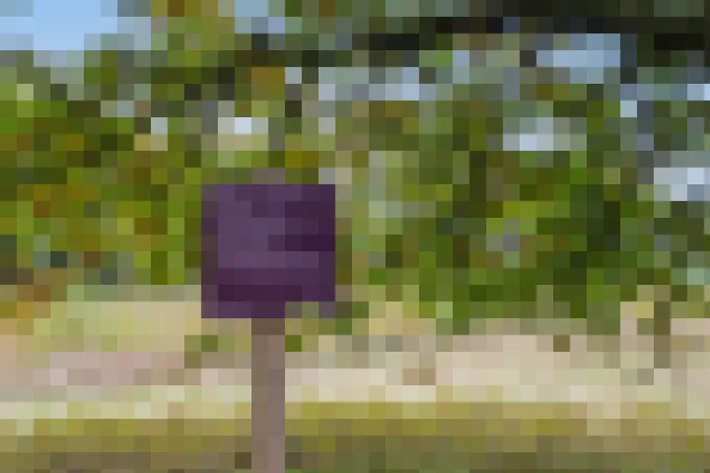 Meikevermeent 3 Hilversum thumbnail 32