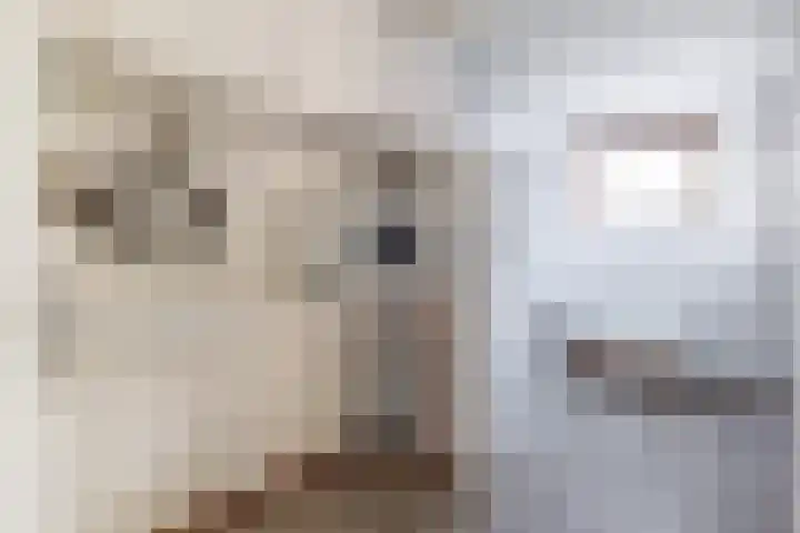 Meikevermeent 7 Hilversum thumbnail 17