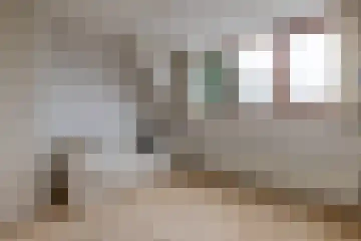 Meikevermeent 7 Hilversum thumbnail 27
