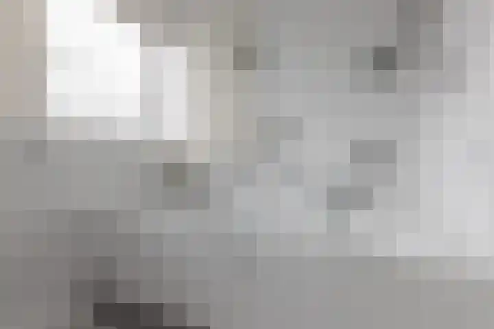 Meikevermeent 7 Hilversum thumbnail 32