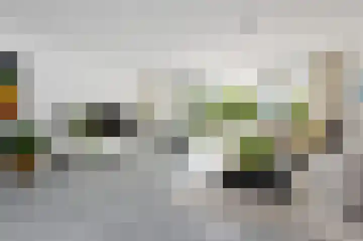 Meikeverstraat 11 Berkel en Rodenrijs thumbnail 10