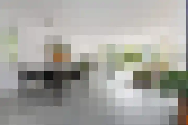 Meikeverstraat 11 Berkel en Rodenrijs thumbnail 11