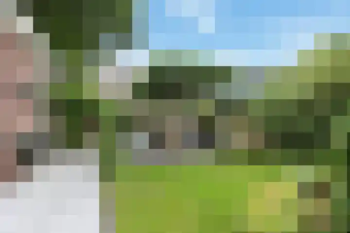 Meikeverstraat 11 Berkel en Rodenrijs thumbnail 16