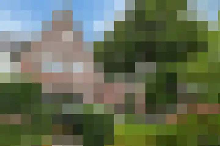 Meikeverstraat 11 Berkel en Rodenrijs thumbnail 25