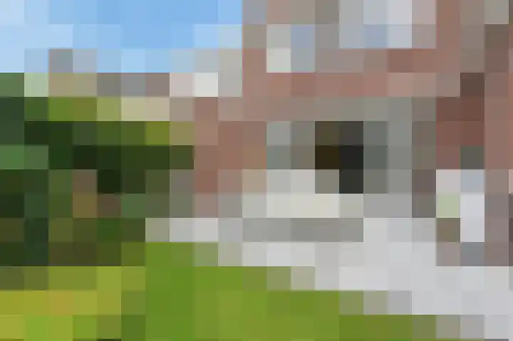 Meikeverstraat 11 Berkel en Rodenrijs thumbnail 26