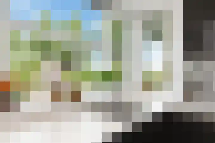 Meikeverstraat 11 Berkel en Rodenrijs thumbnail 31