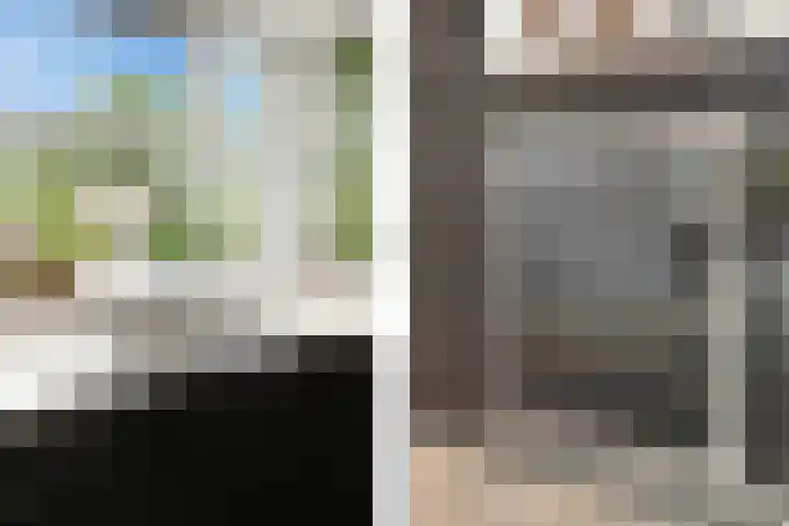 Meikeverstraat 11 Berkel en Rodenrijs thumbnail 32