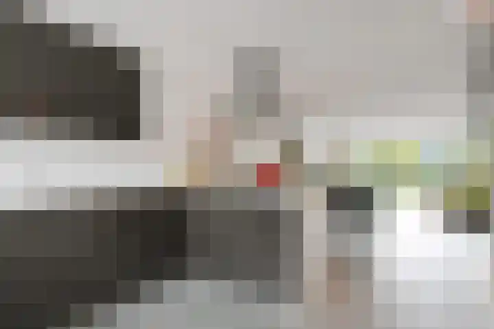 Meikeverstraat 11 Berkel en Rodenrijs thumbnail 34