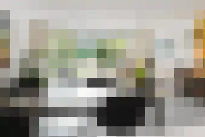 Meikeverstraat 11 Berkel en Rodenrijs thumbnail 36