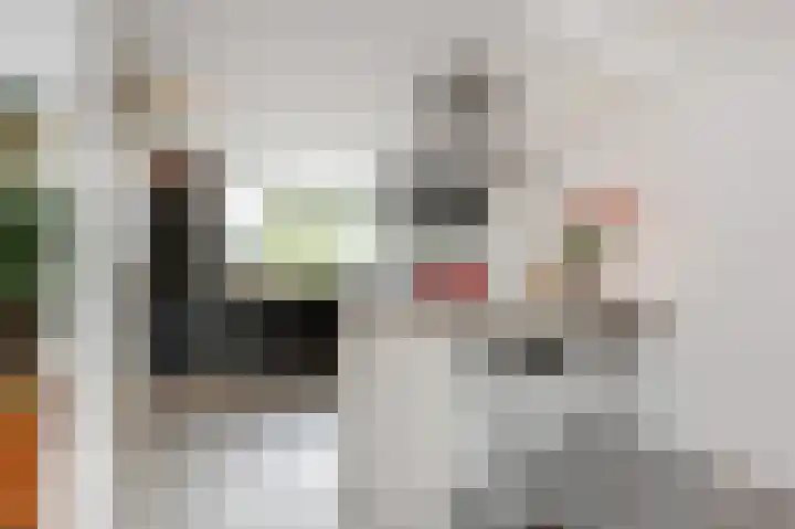 Meikeverstraat 11 Berkel en Rodenrijs thumbnail 4