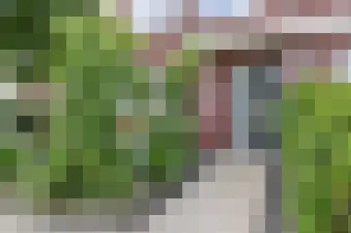 Meikeverstraat 11 Berkel en Rodenrijs thumbnail 6