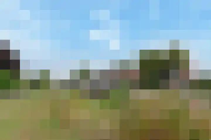 Meikeverstraat 11 Berkel en Rodenrijs thumbnail 69