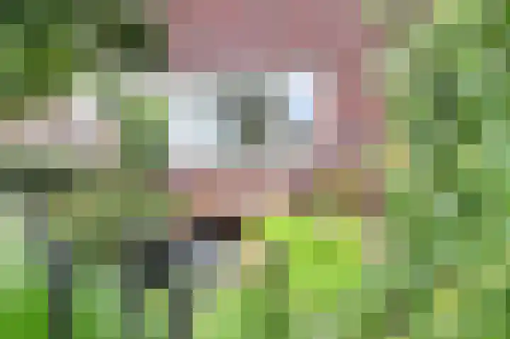 Meikeverstraat 11 Berkel en Rodenrijs thumbnail 7