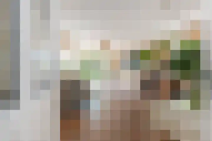 Meikeverstraat 18 Berkel en Rodenrijs thumbnail 10